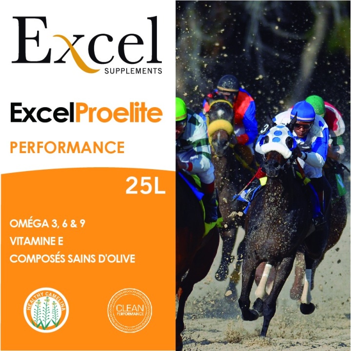Excel Prolite