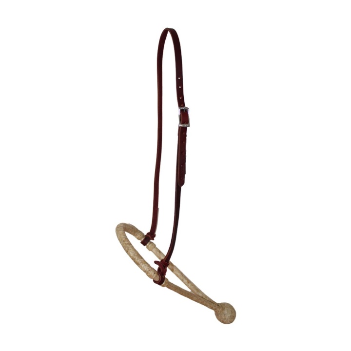 Bosal avec Hanger