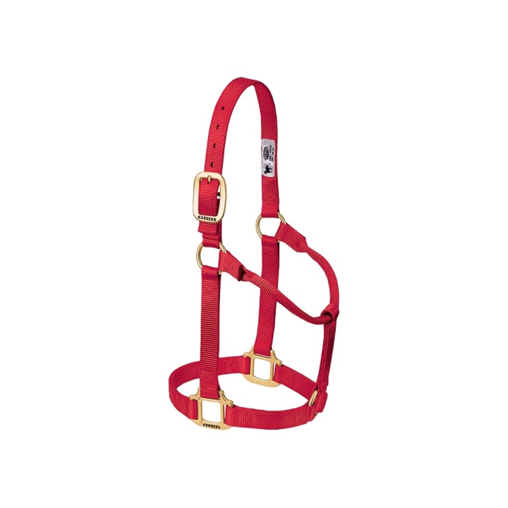 Licol Original Poulain