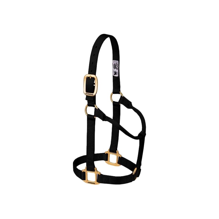 Licol Original Poulain