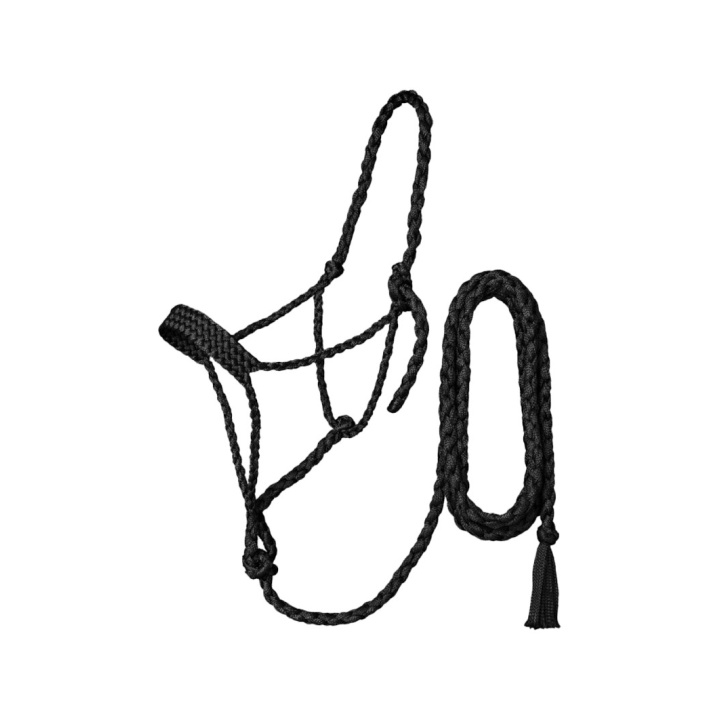 Licol Tressé avec Longe