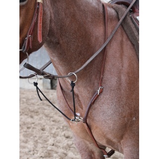 Martingale cuir / Corde