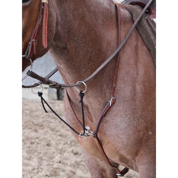 Martingale cuir / Corde
