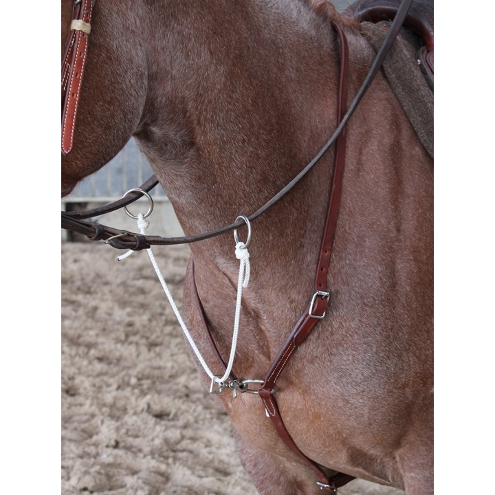 Martingale cuir / Corde