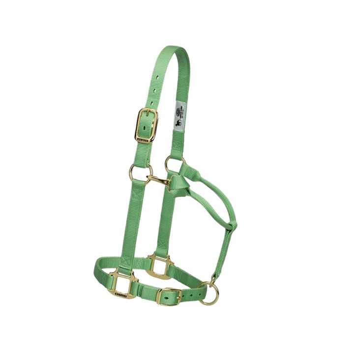 Licol Original Weaver Weaver Leather | El Pinto