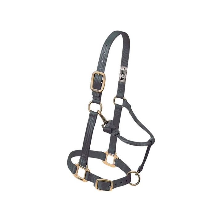 Licol Original Weaver Weaver Leather | El Pinto