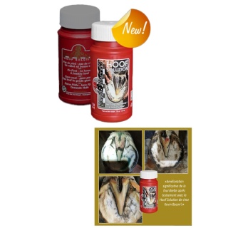 Hoof Solution (Fourchette Pourrie)