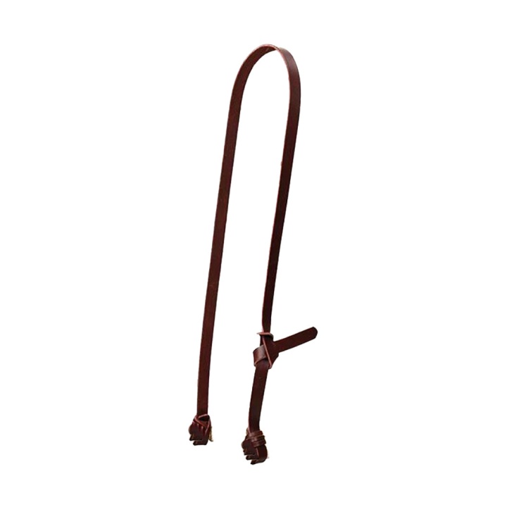 Hanger Latigo