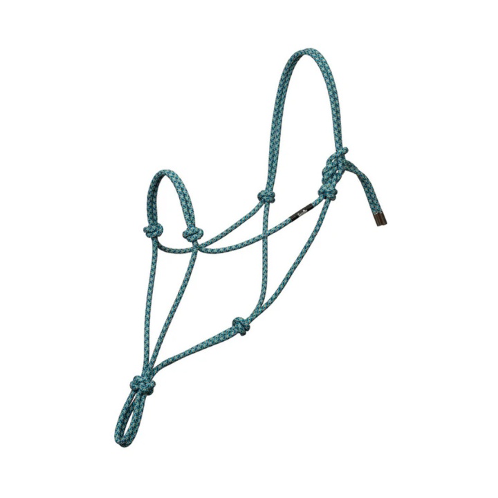 Licol Silvertip N°95
