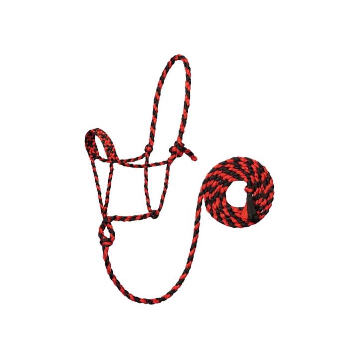 Licol Braid Rope