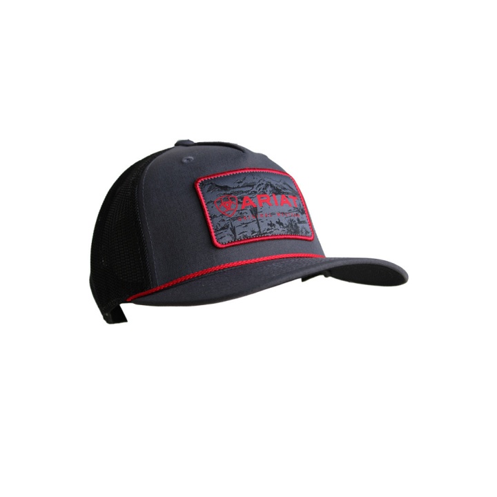 Casquette ARIAT Anthracite / Red