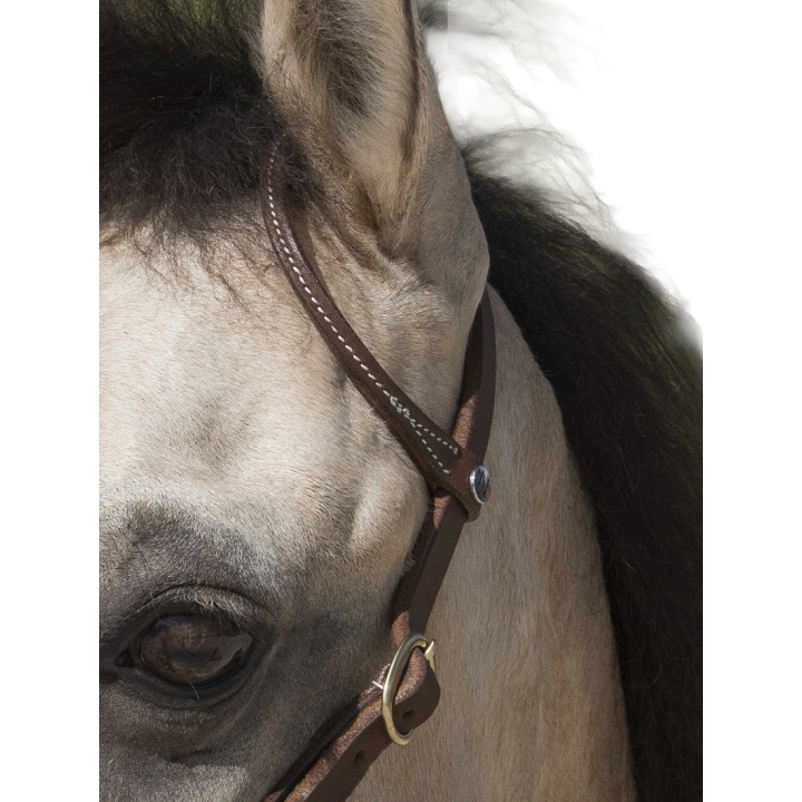 Bridon WESTRIDE one ear