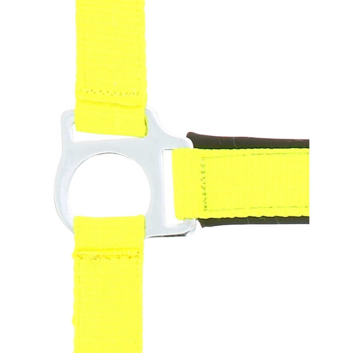 Licol Norton Fluo