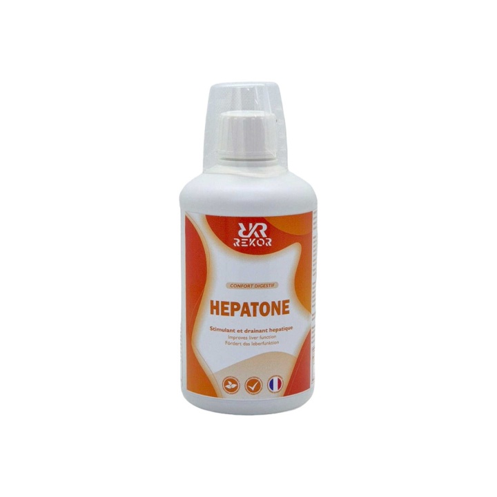 Hepatone 500ml