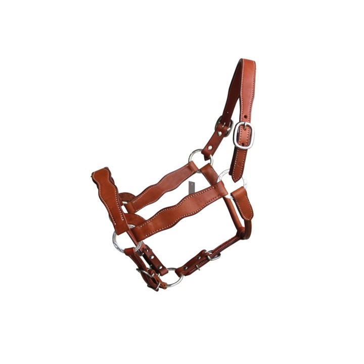 Licol en Cuir WT 007
