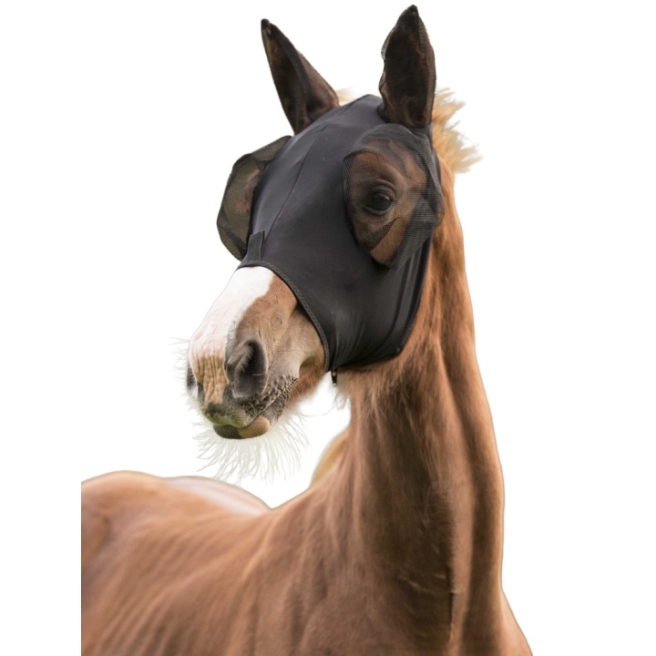 Masque Anti mouche Lycra LAMI-CELL