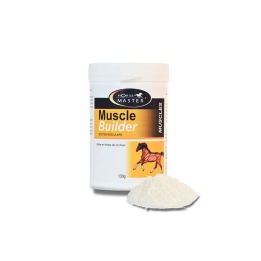 Mucle Builder