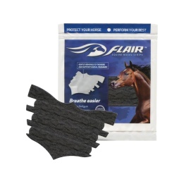 Flair Nasal Strips