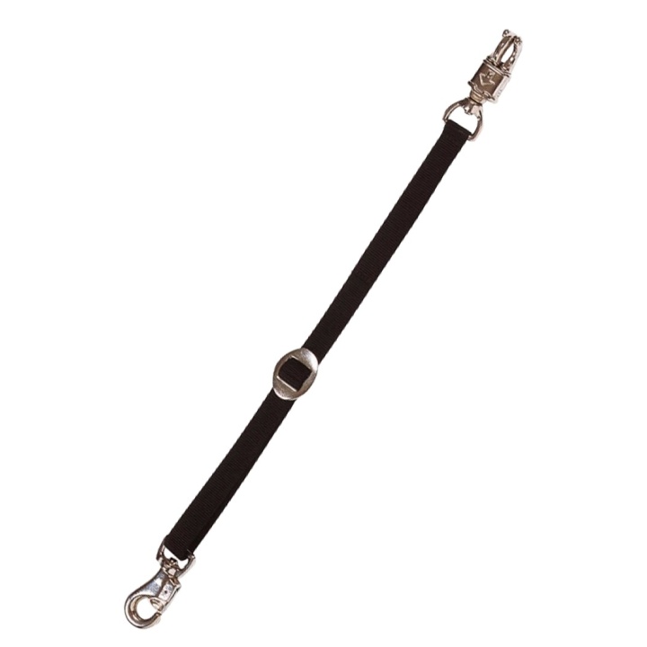 Longe d'attache camion