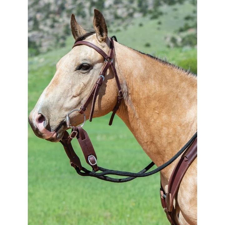 Ensemble rênes cordes noir + slobber McNABB Brown