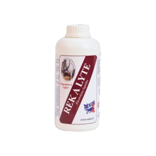 Electrolytes Rek A Lyte