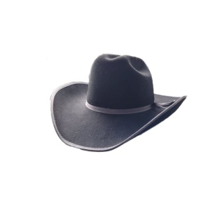 Chapeau Feutre Noir/Gris