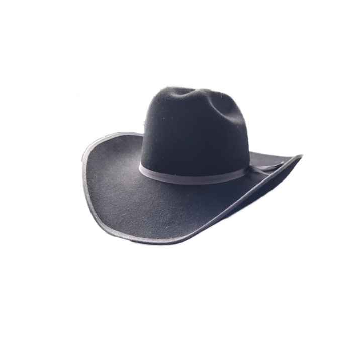 Chapeau Feutre Noir/Gris