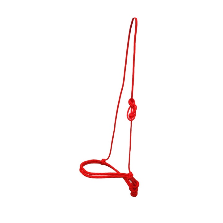 Muserolle Nylon