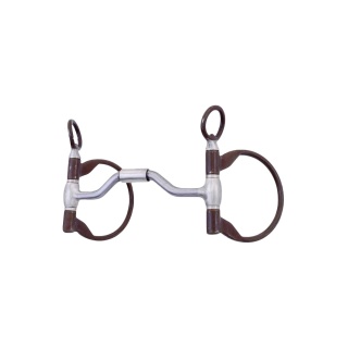Snaffle Clinic François Gauthier