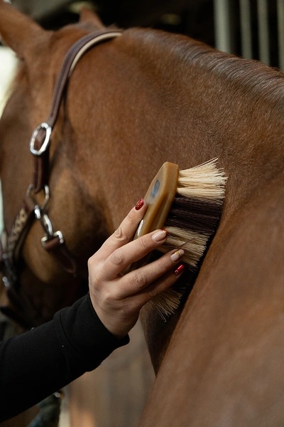 Brosses