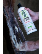 Shampoing