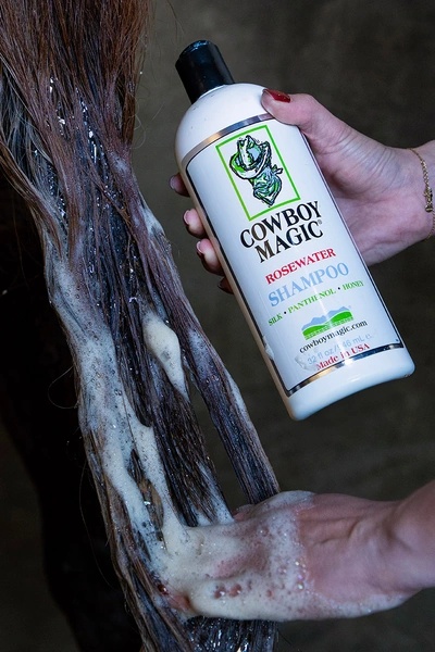 Shampoing