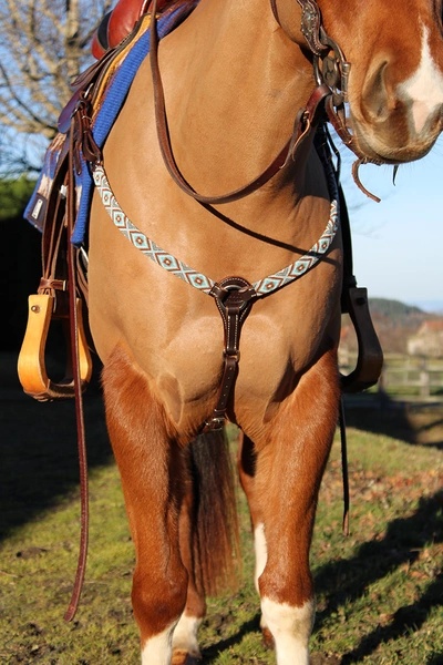 Collier de chasse