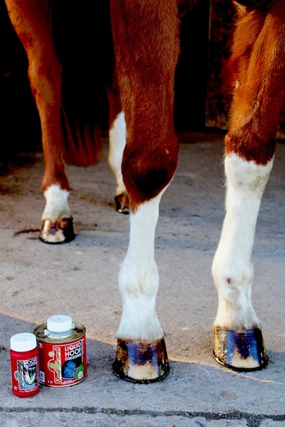 Soins des pieds