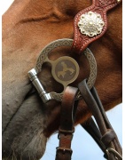 Snaffle