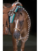 Bosal & hanger