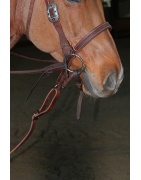 Noseband & tie down