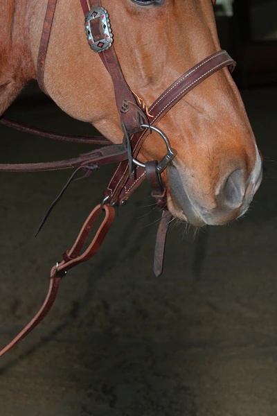 Noseband & tie down