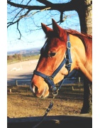 Licol & longes
