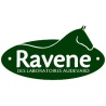 Ravène